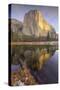 Reflections at El Capitan, Yosemite-Vincent James-Stretched Canvas