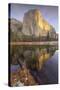 Reflections at El Capitan, Yosemite-Vincent James-Stretched Canvas