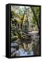 Reflections at Ta Prohm Temple (Rajavihara)-Michael Nolan-Framed Stretched Canvas