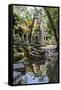 Reflections at Ta Prohm Temple (Rajavihara)-Michael Nolan-Framed Stretched Canvas