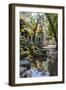 Reflections at Ta Prohm Temple (Rajavihara)-Michael Nolan-Framed Photographic Print