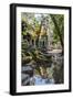 Reflections at Ta Prohm Temple (Rajavihara)-Michael Nolan-Framed Photographic Print