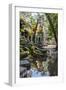 Reflections at Ta Prohm Temple (Rajavihara)-Michael Nolan-Framed Photographic Print