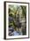 Reflections at Ta Prohm Temple (Rajavihara)-Michael Nolan-Framed Photographic Print