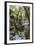 Reflections at Ta Prohm Temple (Rajavihara)-Michael Nolan-Framed Photographic Print