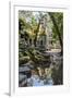 Reflections at Ta Prohm Temple (Rajavihara)-Michael Nolan-Framed Photographic Print