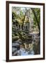 Reflections at Ta Prohm Temple (Rajavihara)-Michael Nolan-Framed Photographic Print