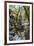 Reflections at Ta Prohm Temple (Rajavihara)-Michael Nolan-Framed Photographic Print