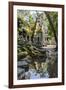 Reflections at Ta Prohm Temple (Rajavihara)-Michael Nolan-Framed Photographic Print