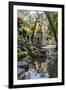 Reflections at Ta Prohm Temple (Rajavihara)-Michael Nolan-Framed Photographic Print