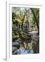 Reflections at Ta Prohm Temple (Rajavihara)-Michael Nolan-Framed Photographic Print