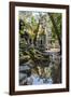 Reflections at Ta Prohm Temple (Rajavihara)-Michael Nolan-Framed Photographic Print