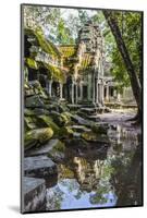 Reflections at Ta Prohm Temple (Rajavihara)-Michael Nolan-Mounted Photographic Print