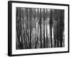 Reflections Cool Morning Mist, Inside a Floodplain Forest, Florida Caverns State Park, Florida, Usa-Maresa Pryor-Framed Photographic Print