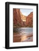 Reflections from Morning Sun. Colorado River. Grand Canyon. Arizona-Tom Norring-Framed Photographic Print