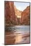 Reflections from Morning Sun. Colorado River. Grand Canyon. Arizona-Tom Norring-Mounted Photographic Print