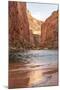 Reflections from Morning Sun. Colorado River. Grand Canyon. Arizona-Tom Norring-Mounted Photographic Print