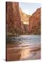 Reflections from Morning Sun. Colorado River. Grand Canyon. Arizona-Tom Norring-Stretched Canvas