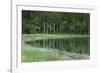 Reflections, Gull Lake, June Lake, California, USA-Michel Hersen-Framed Photographic Print