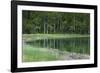 Reflections, Gull Lake, June Lake, California, USA-Michel Hersen-Framed Photographic Print