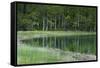 Reflections, Gull Lake, June Lake, California, USA-Michel Hersen-Framed Stretched Canvas