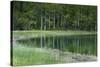 Reflections, Gull Lake, June Lake, California, USA-Michel Hersen-Stretched Canvas