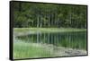 Reflections, Gull Lake, June Lake, California, USA-Michel Hersen-Framed Stretched Canvas