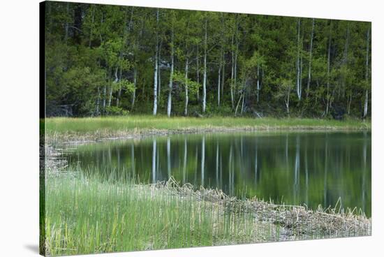 Reflections, Gull Lake, June Lake, California, USA-Michel Hersen-Stretched Canvas