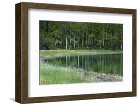 Reflections, Gull Lake, June Lake, California, USA-Michel Hersen-Framed Photographic Print