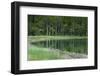 Reflections, Gull Lake, June Lake, California, USA-Michel Hersen-Framed Photographic Print