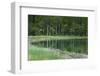 Reflections, Gull Lake, June Lake, California, USA-Michel Hersen-Framed Photographic Print