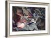 Reflections III-Doug Chinnery-Framed Giclee Print