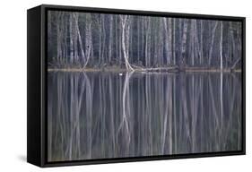 Reflections in a Small Lake in Taiga Forest-Andrey Zvoznikov-Framed Stretched Canvas