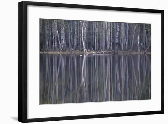 Reflections in a Small Lake in Taiga Forest-Andrey Zvoznikov-Framed Photographic Print