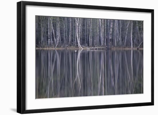 Reflections in a Small Lake in Taiga Forest-Andrey Zvoznikov-Framed Photographic Print