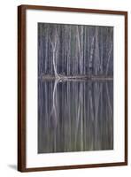 Reflections in a Small Lake in Taiga Forest-Andrey Zvoznikov-Framed Photographic Print