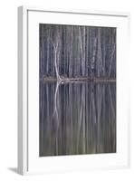 Reflections in a Small Lake in Taiga Forest-Andrey Zvoznikov-Framed Photographic Print