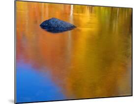 Reflections in Autumn, Lost River, New Hampshire, USA-Gavin Hellier-Mounted Photographic Print