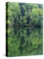 Reflections in Charlottesville Lake, Blue Ridge Mountains, Virginia, USA-Charles Gurche-Stretched Canvas