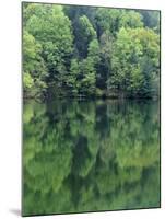 Reflections in Charlottesville Lake, Blue Ridge Mountains, Virginia, USA-Charles Gurche-Mounted Premium Photographic Print