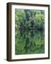 Reflections in Charlottesville Lake, Blue Ridge Mountains, Virginia, USA-Charles Gurche-Framed Photographic Print