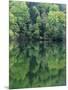 Reflections in Charlottesville Lake, Blue Ridge Mountains, Virginia, USA-Charles Gurche-Mounted Photographic Print