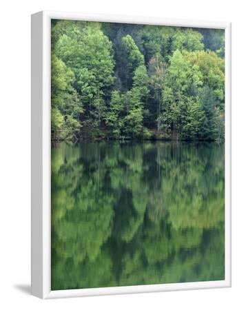 'Reflections in Charlottesville Lake, Blue Ridge Mountains, Virginia