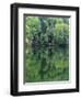 Reflections in Charlottesville Lake, Blue Ridge Mountains, Virginia, USA-Charles Gurche-Framed Photographic Print