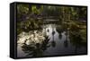 Reflections in Lily Pool, Jardin Majorelle, Owned by Yves St. Laurent, Marrakech, Morocco-Stephen Studd-Framed Stretched Canvas