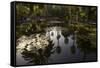 Reflections in Lily Pool, Jardin Majorelle, Owned by Yves St. Laurent, Marrakech, Morocco-Stephen Studd-Framed Stretched Canvas