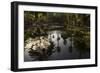 Reflections in Lily Pool, Jardin Majorelle, Owned by Yves St. Laurent, Marrakech, Morocco-Stephen Studd-Framed Photographic Print