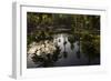 Reflections in Lily Pool, Jardin Majorelle, Owned by Yves St. Laurent, Marrakech, Morocco-Stephen Studd-Framed Photographic Print