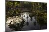 Reflections in Lily Pool, Jardin Majorelle, Owned by Yves St. Laurent, Marrakech, Morocco-Stephen Studd-Mounted Photographic Print