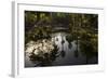 Reflections in Lily Pool, Jardin Majorelle, Owned by Yves St. Laurent, Marrakech, Morocco-Stephen Studd-Framed Photographic Print